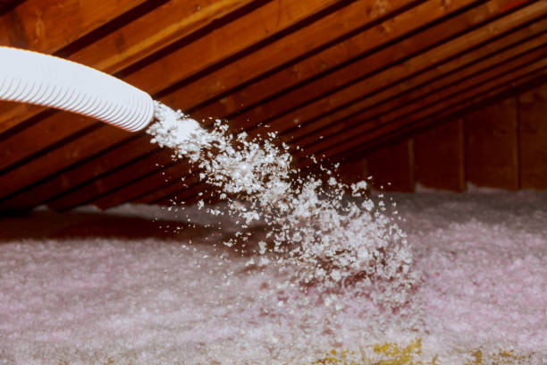 Best Insulation Removal  in Chapin, SC