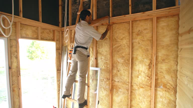 Best Eco-Friendly or Green Insulation Solutions  in Chapin, SC